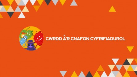 Cwrdd a’r Cnafon Cyfrifiadurol