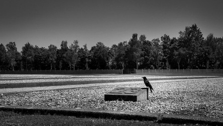 Holocaust Memorial Day (Dachau Concentration Camp)