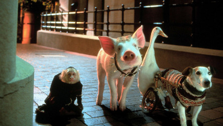 Babe: Pig In The City