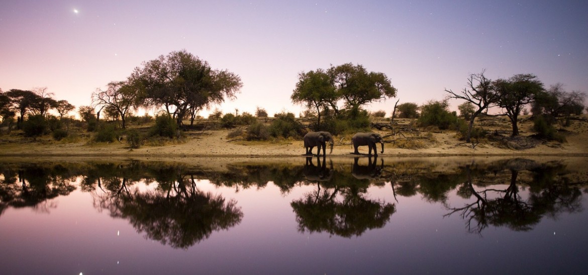 Into the Okavango © NATIONAL GEOGRAPHIC ALL RIGHTS RESERVED