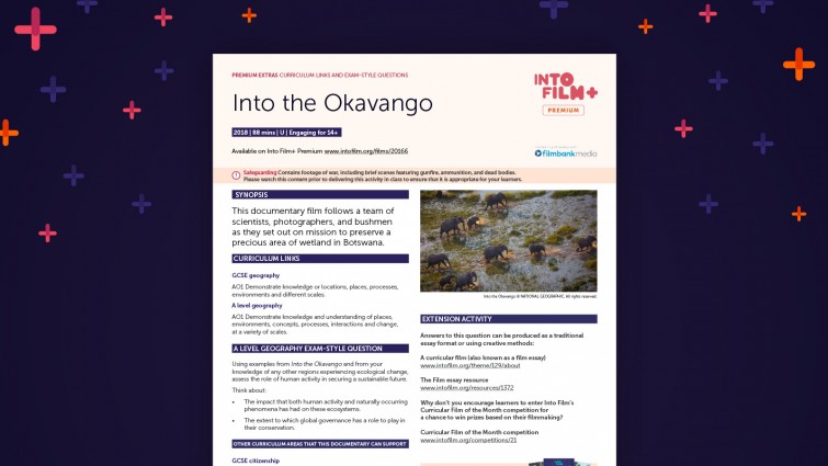 Into the Okavango