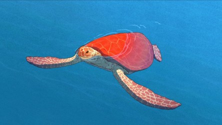 A PowerPoint on the film 'The Red Turtle' (2016). thumbnail